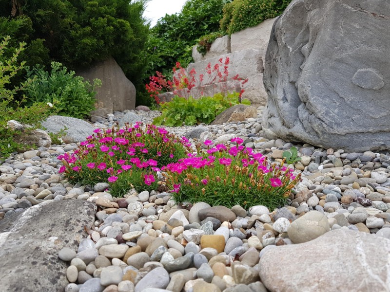 Steingärten Winterthur