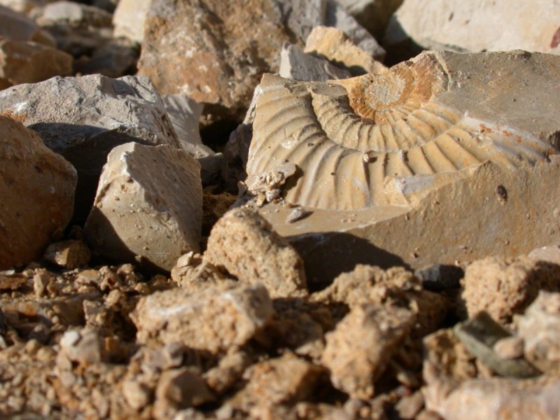 Steingärten Winterthur