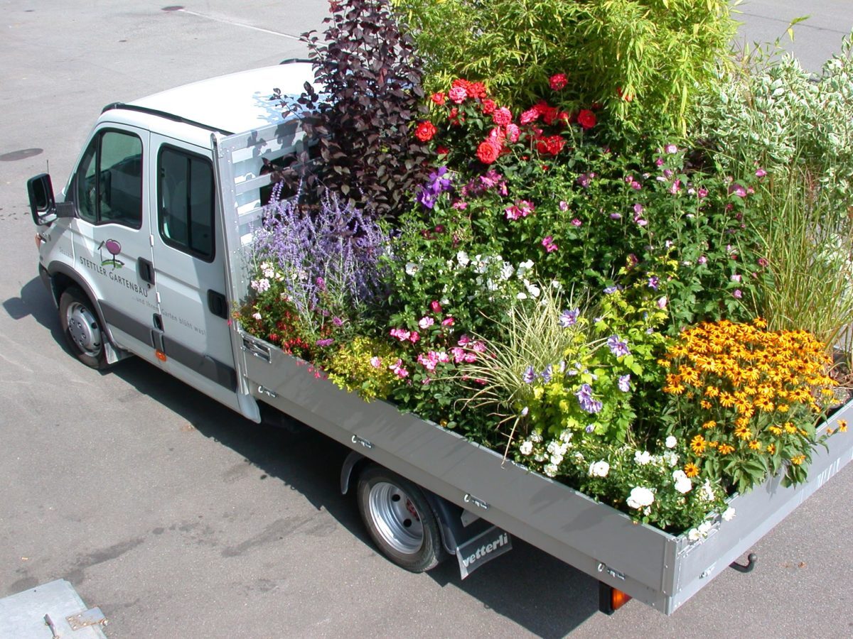 C1-...-und-Ihrem-Garten-blüht-was-e1538687588901.jpg